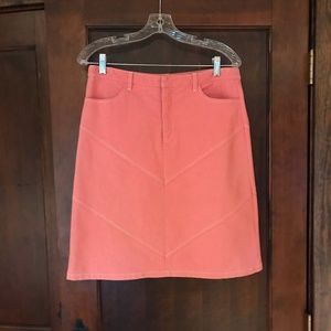 New Frontier Skirt